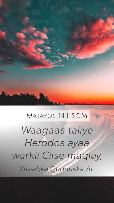 Matayos 14:1 SOM Bible Verse Image