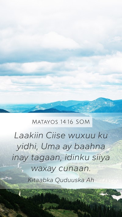 Matayos 14:16 SOM Bible Verse Image