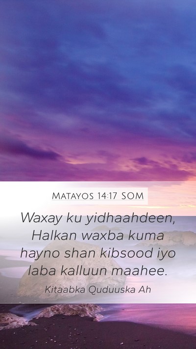 Matayos 14:17 SOM Bible Verse Image