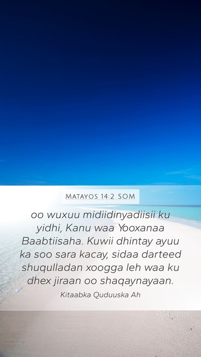 Matayos 14:2 SOM Mobile Phone Wallpaper - oo wuxuu midiidinyadiisii ku yidhi, Kanu waa - Mobile Bible Verse Wallpaper