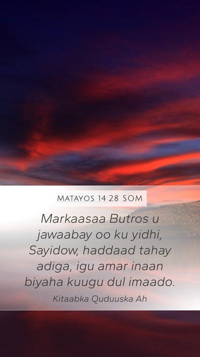 Matayos 14:28 SOM Mobile Phone Wallpaper - Markaasaa Butros u jawaabay oo ku yidhi, Sayidow, - Mobile Bible Verse Wallpaper