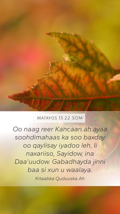Matayos 15:22 SOM Bible Verse Image