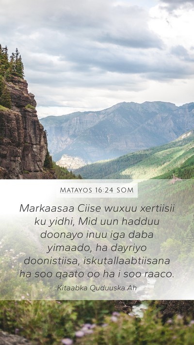 Matayos 16:24 SOM Bible Verse Image