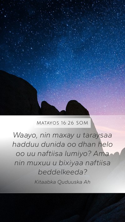 Matayos 16:26 SOM Bible Verse Image