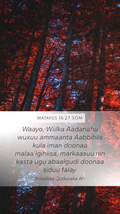 Matayos 16:27 SOM Bible Verse Image