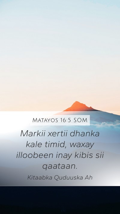 Matayos 16:5 SOM Mobile Phone Wallpaper - Markii xertii dhanka kale timid, waxay illoobeen - Mobile Bible Verse Wallpaper