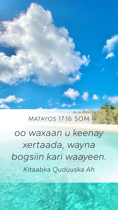 Matayos 17:16 SOM Bible Verse Image