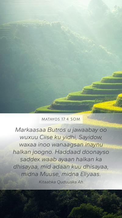 Matayos 17:4 SOM Mobile Phone Wallpaper - Markaasaa Butros u jawaabay oo wuxuu Ciise ku - Mobile Bible Verse Wallpaper