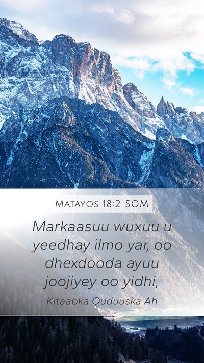 Matayos 18:2 SOM Bible Verse Image