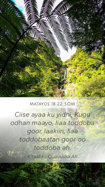 Matayos 18:22 SOM Bible Verse Image