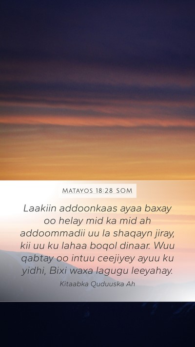 Matayos 18:28 SOM Bible Verse Image