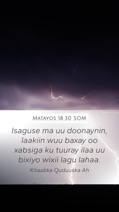 Matayos 18:30 SOM Mobile Phone Wallpaper - Isaguse ma uu doonaynin, laakiin wuu baxay oo - Mobile Bible Verse Wallpaper