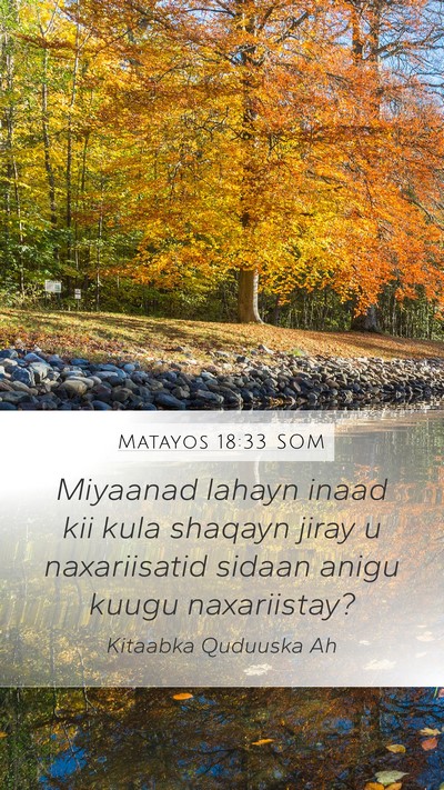 Matayos 18:33 SOM Bible Verse Image