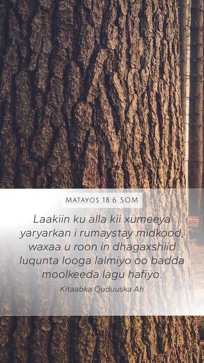 Matayos 18:6 SOM Bible Verse Image