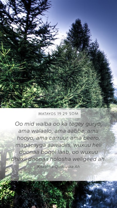 Matayos 19:29 SOM Bible Verse Image