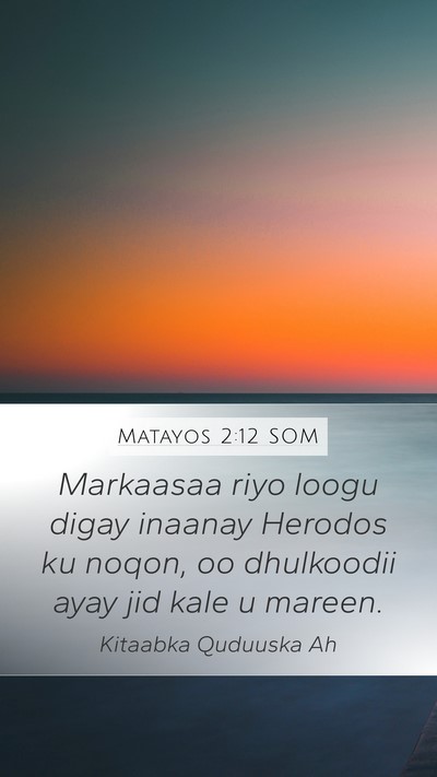 Matayos 2:12 SOM Bible Verse Image