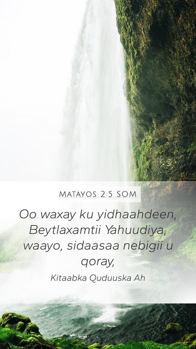 Matayos 2:5 SOM Bible Verse Image