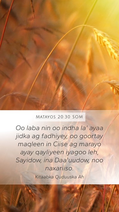 Matayos 20:30 SOM Bible Verse Image