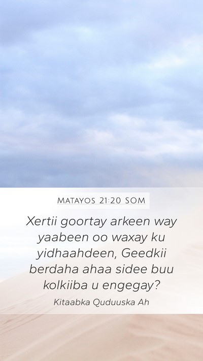 Matayos 21:20 SOM Bible Verse Image