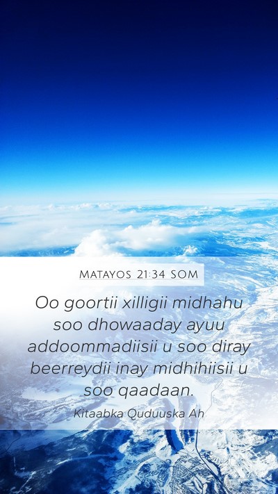 Matayos 21:34 SOM Bible Verse Image