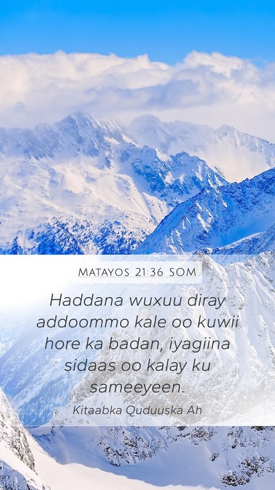 Matayos 21:36 SOM Bible Verse Image