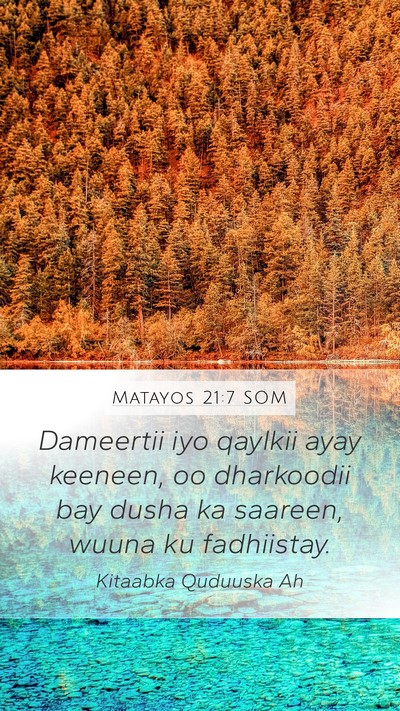 Matayos 21:7 SOM Mobile Phone Wallpaper - Dameertii iyo qaylkii ayay keeneen, oo dharkoodii - Mobile Bible Verse Wallpaper