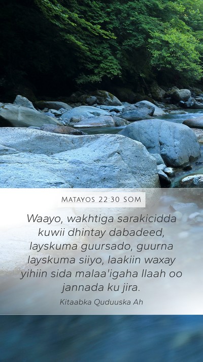 Matayos 22:30 SOM Bible Verse Image