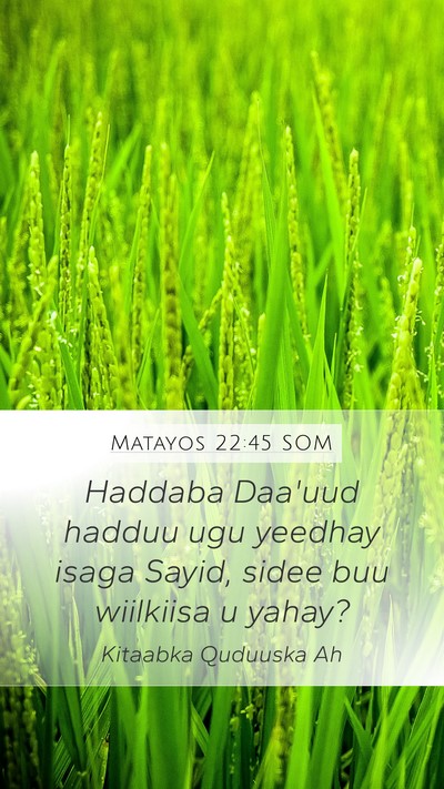 Matayos 22:45 SOM Mobile Phone Wallpaper - Haddaba Daa'uud hadduu ugu yeedhay isaga Sayid, - Mobile Bible Verse Wallpaper
