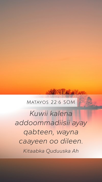 Matayos 22:6 SOM Bible Verse Image