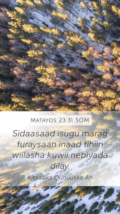 Matayos 23:31 SOM Bible Verse Image