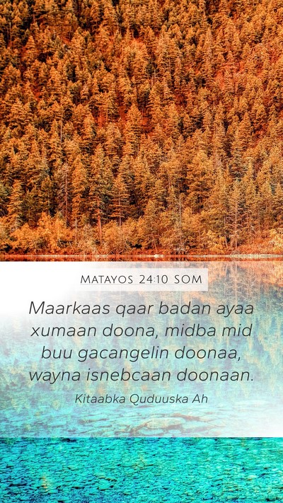 Matayos 24:10 SOM Mobile Phone Wallpaper - Maarkaas qaar badan ayaa xumaan doona, midba mid - Mobile Bible Verse Wallpaper