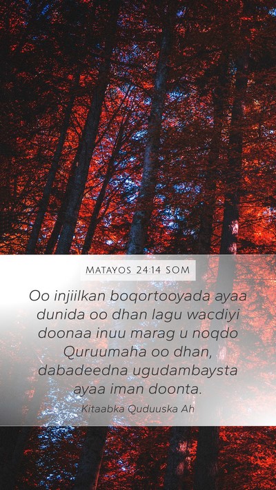 Matayos 24:14 SOM Bible Verse Image