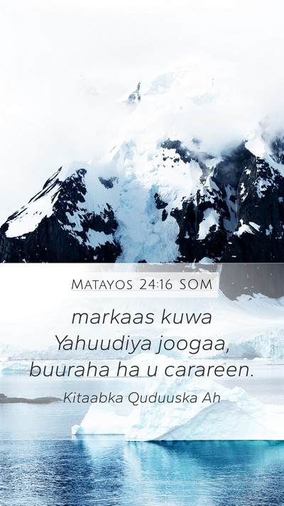 Matayos 24:16 SOM Mobile Phone Wallpaper - markaas kuwa Yahuudiya joogaa, buuraha ha u - Mobile Bible Verse Wallpaper