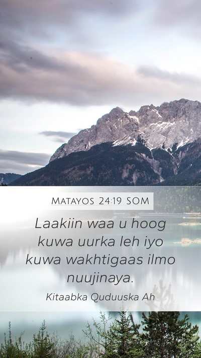 Matayos 24:19 SOM Mobile Phone Wallpaper - Laakiin waa u hoog kuwa uurka leh iyo kuwa - Mobile Bible Verse Wallpaper