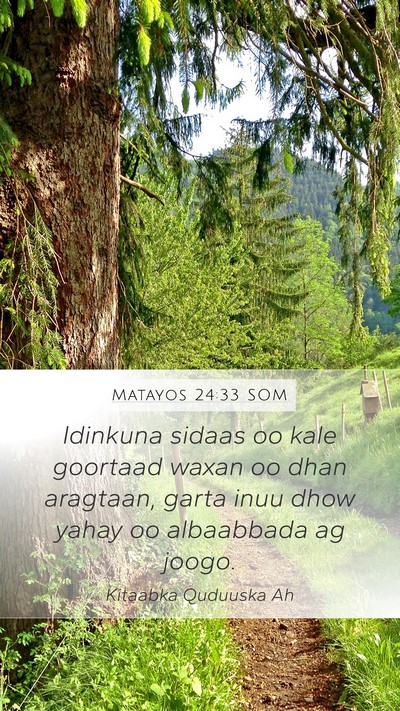 Matayos 24:33 SOM Mobile Phone Wallpaper - Idinkuna sidaas oo kale goortaad waxan oo dhan - Mobile Bible Verse Wallpaper