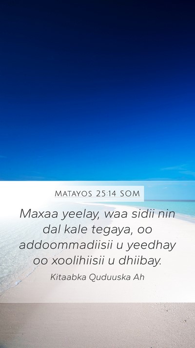 Matayos 25:14 SOM Bible Verse Image