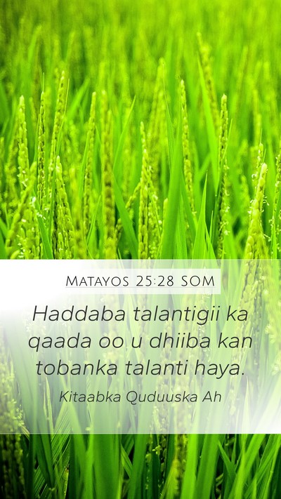 Matayos 25:28 SOM Bible Verse Image