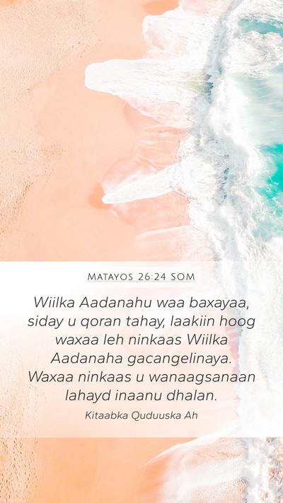 Matayos 26:24 SOM Bible Verse Image