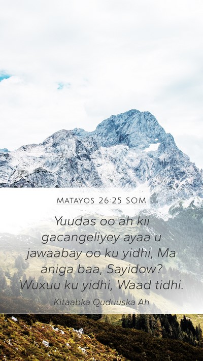 Matayos 26:25 SOM Bible Verse Image