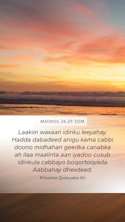 Matayos 26:29 SOM Bible Verse Image