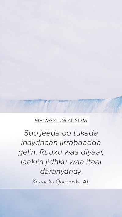Matayos 26:41 SOM Bible Verse Image
