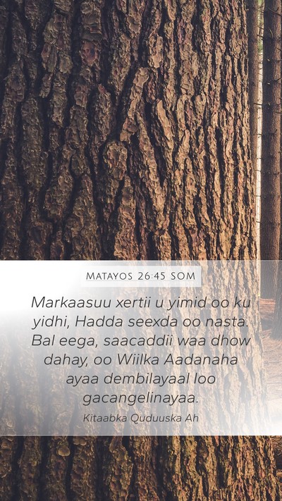 Matayos 26:45 SOM Bible Verse Image