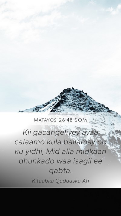 Matayos 26:48 SOM Bible Verse Image