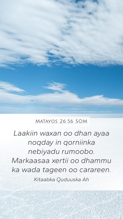 Matayos 26:56 SOM Bible Verse Image