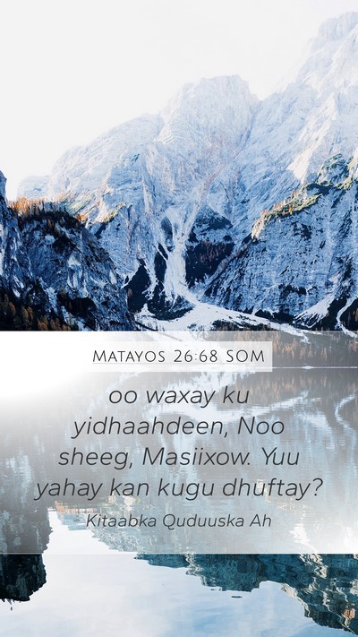 Matayos 26:68 SOM Mobile Phone Wallpaper - oo waxay ku yidhaahdeen, Noo sheeg, Masiixow. Yuu - Mobile Bible Verse Wallpaper