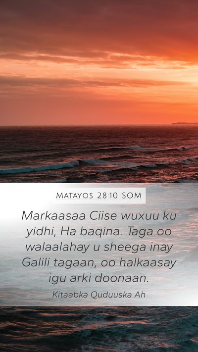 Matayos 28:10 SOM Bible Verse Image