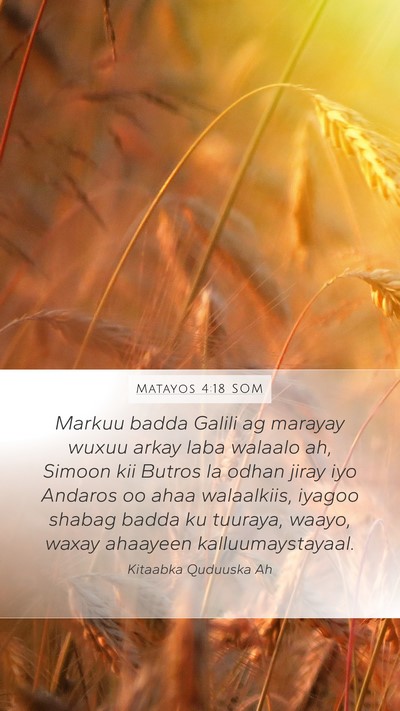 Matayos 4:18 SOM Bible Verse Image