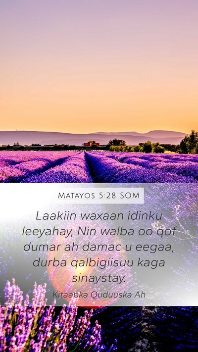 Matayos 5:28 SOM Bible Verse Image