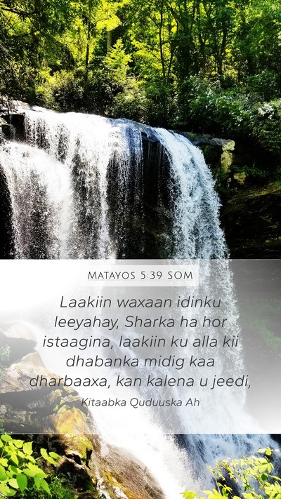 Matayos 5:39 SOM Bible Verse Image
