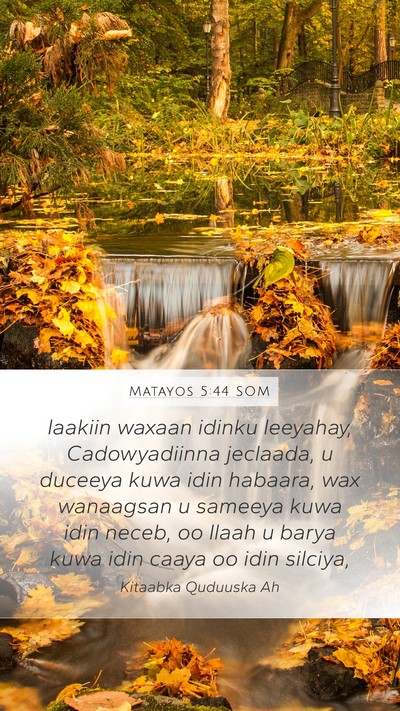 Matayos 5:44 SOM Bible Verse Image